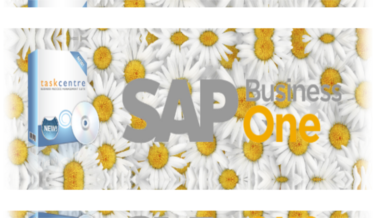BPA Platform/TaskCentre dla SAP Business One